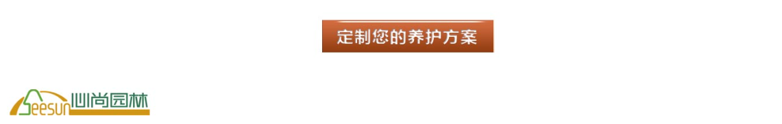 太阳成集团tyc33455cc(中国)有限公司官网