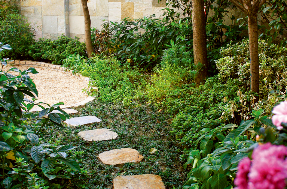 太阳成集团tyc33455cc(中国)有限公司官网